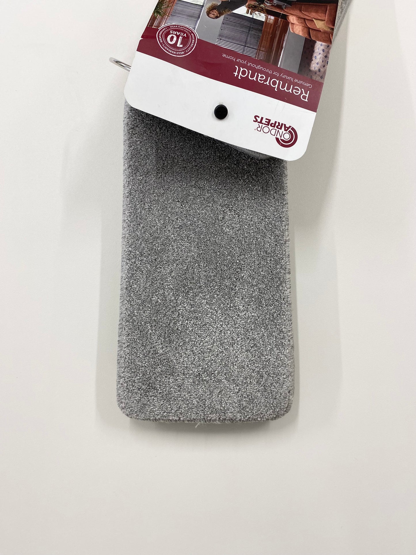 Rembrandt Slate